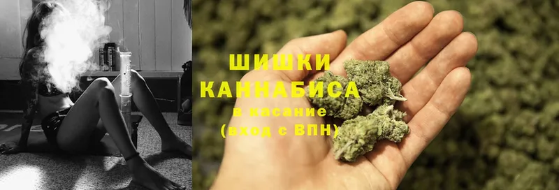 как найти наркотики  Хотьково  Марихуана SATIVA & INDICA 